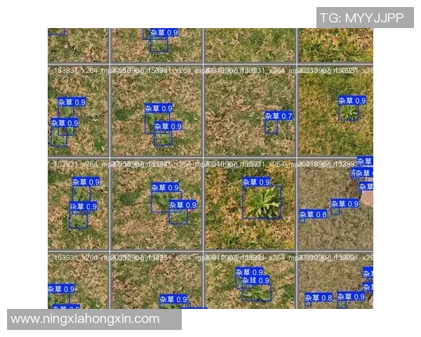 上海羽毛球队包夹战术深度解析与训练策略探讨
